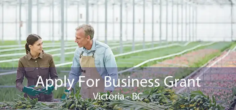 Apply For Business Grant Victoria - BC